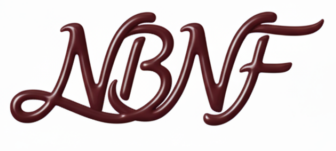 gemini generated image 9wi5yk9wi5yk9wi5